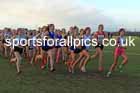 Girls Under-15s 2026 Northern Cross Country Champs., Pontefract Racecourse, Pontefract. Photo: David T. Hewitson/Sports for All Pics